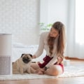 25x25x1 Air Filters and The Secret to a Dust-Free Home Environment