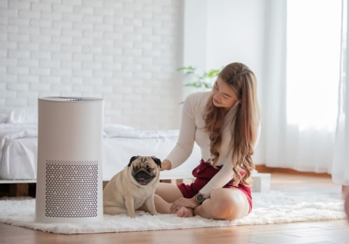 25x25x1 Air Filters and The Secret to a Dust-Free Home Environment